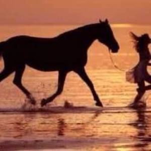 Meet your Posher, Gigi